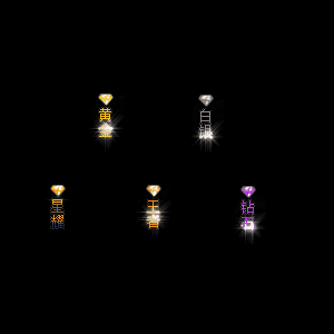 会员赞助称号系列0023