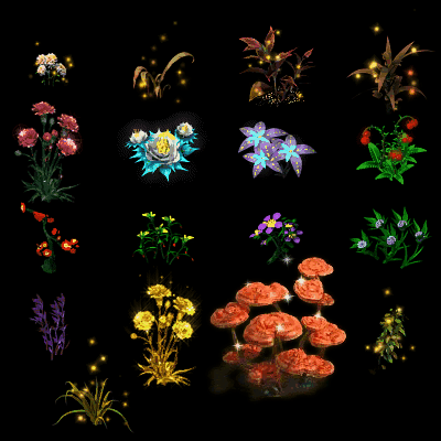 特殊装备专属系列0076