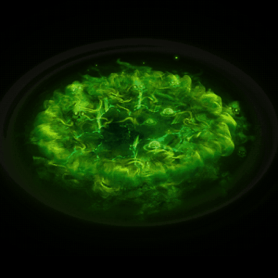 其他攻击特效系列0348