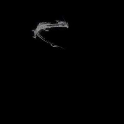 其他攻击特效系列0369