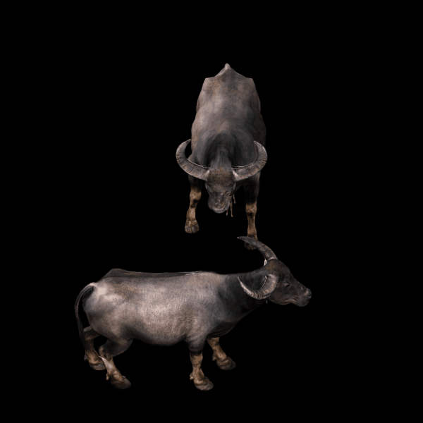 传奇怪物大怪系列0329