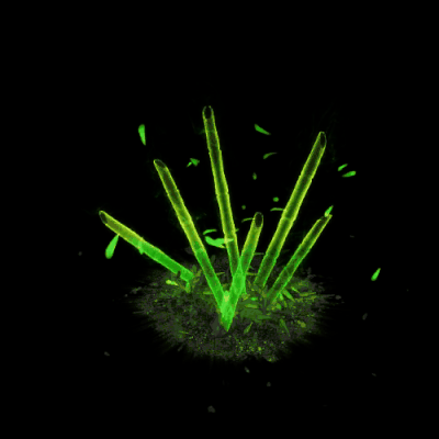 其他攻击特效系列0525