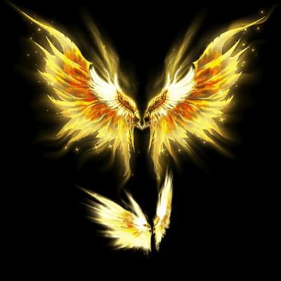 传奇翅膀素材外观系列14