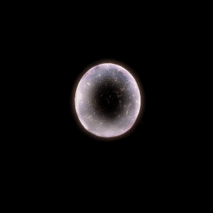 其他攻击特效系列0721