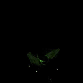 其他攻击特效系列1011