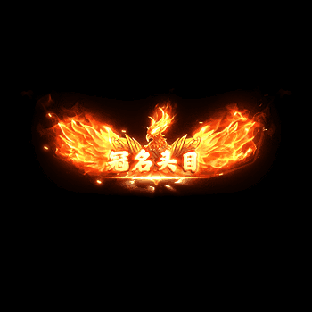 冠名称号系列0053