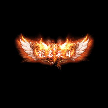 冠名称号系列0059