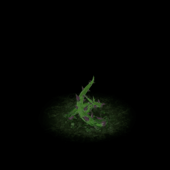 其他攻击特效系列1061