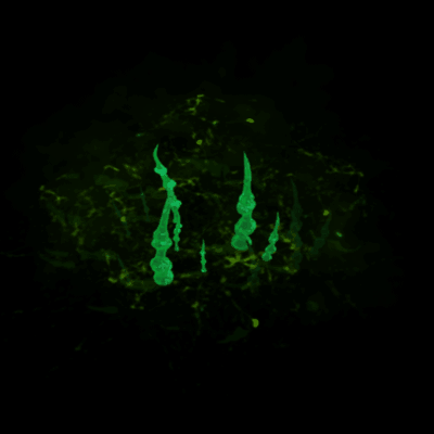 其他攻击特效系列1069